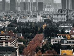 -四川大学(望江校区)