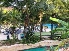 -亚马逊丛林水乐园