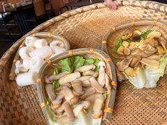 -滇野云南野生菌餐厅(陕西南路店)