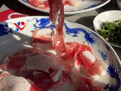 -鑫龙火锅城(阳光新路店)