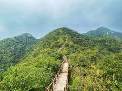 -大岭沟猕猴桃谷风景区