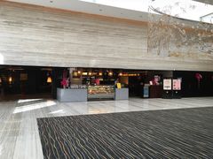 -新加坡乌节希尔顿酒店 (SG Clean)