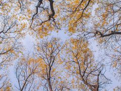 -陕西师范大学(雁塔校区)