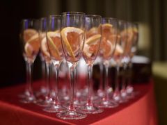 -成都保利公园皇冠假日酒店(熊猫基地店)