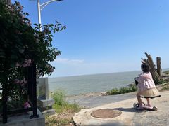 -巢湖姥山岛