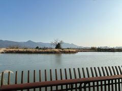 -三垟湿地