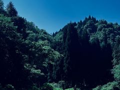 -龙苍沟森林公园