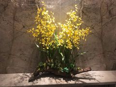 -香港皇家太平洋酒店