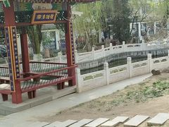 -桃花堤公园