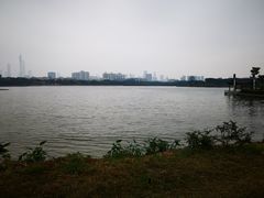 -海珠湖公园