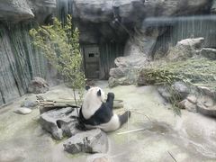 -北京动物园