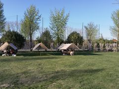 -TIPPI营地 房车主题·露营烧烤团建轰趴(天安假日店)