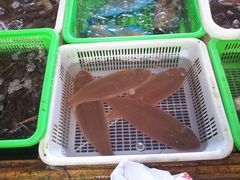 -大湾区中央湿地公园-十九涌