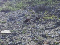 -绿岛环岛公路