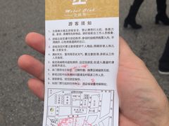 -华西村