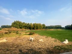 -北京京辉高尔夫俱乐部有限公司