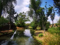 -溱湖国家湿地公园