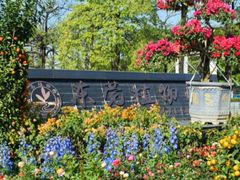-东莞植物园