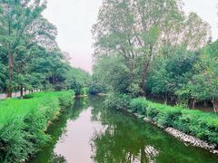 -长白岛森林公园