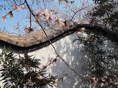 -桃花堤公园