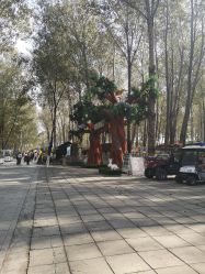 -汉石桥湿地童趣乐园