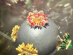 -上海宝龙美术馆