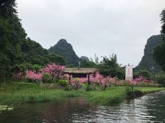 -明仕田园