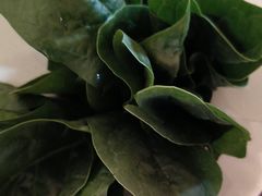 -九鼎轩火锅大排挡