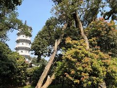 -国恩寺