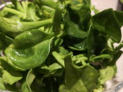 -一叶一世界·素食餐厅(锦华万达店)