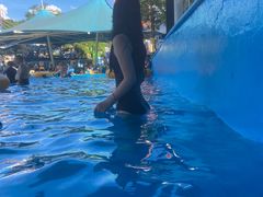 -杭州浪浪浪水公园