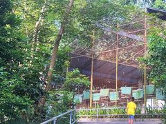 -广东茂名森林公园