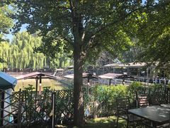 -尚庄度假村·庭台树下·户外烧烤·团建CS·轰趴营地(上庄水库店)