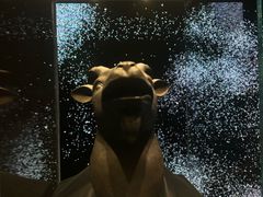 -北京世纪金源购物中心(远大路店)