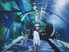 -暹罗海洋世界