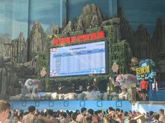 -青岛东方影都融创水世界