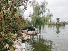 -迎泽公园