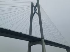 -港珠澳大桥(珠海段)
