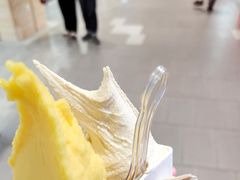 -野人先生现做冰淇淋(西安赛格店)