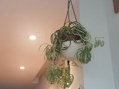 -参差咖啡(水果湖公园店)