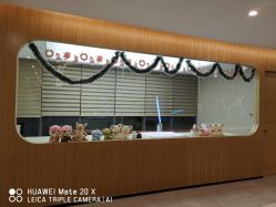 -宝生月子中心·独栋独院式(南山店)