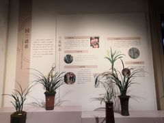 -成都杜甫草堂博物馆