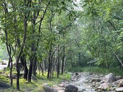 -玉渡山自然风景区