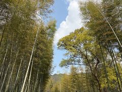 -黄公望隐居地