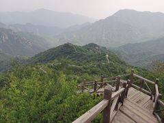 -大岭沟猕猴桃谷风景区