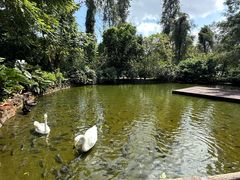 -海南热带野生动植物园