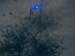 -龙岩罗桥牛杂(长青路店)