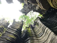 -梭布垭石林景区