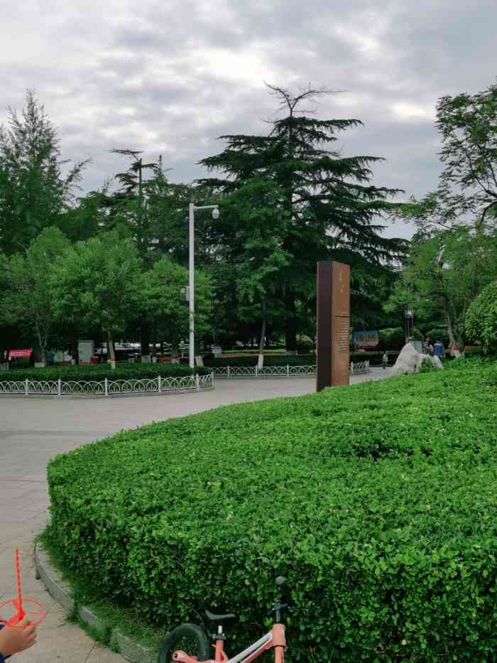 铁山公园-"春日里,阳光正好,都不记得以前在邹城有没.