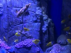 -成都浩海立方海洋公园